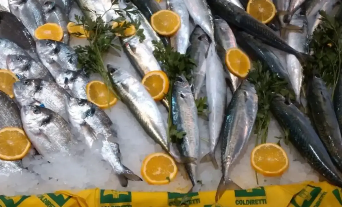 Milano ospita “Pesca Amica”: evento Coldiretti tra gusto, educazione e sostenibilità