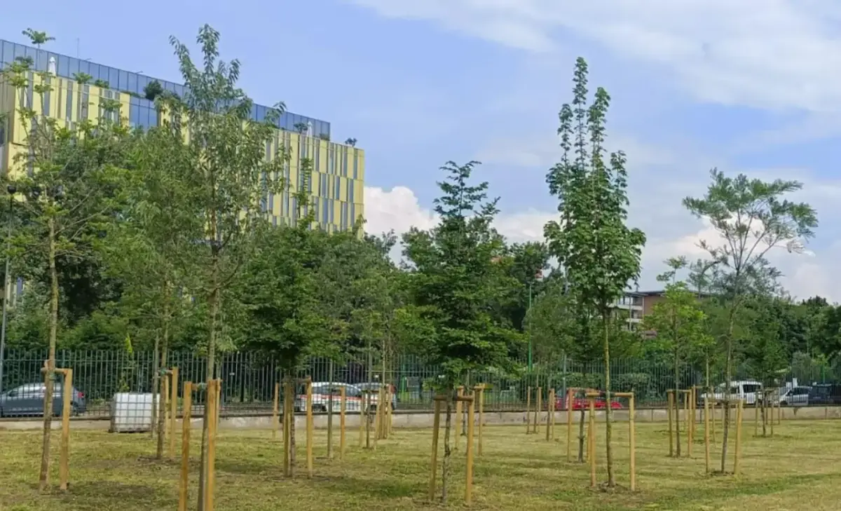 Nasce il Bosco Forestami a Villaggio Barona: inaugurati nuovi spazi verdi e piantati 116 alberi