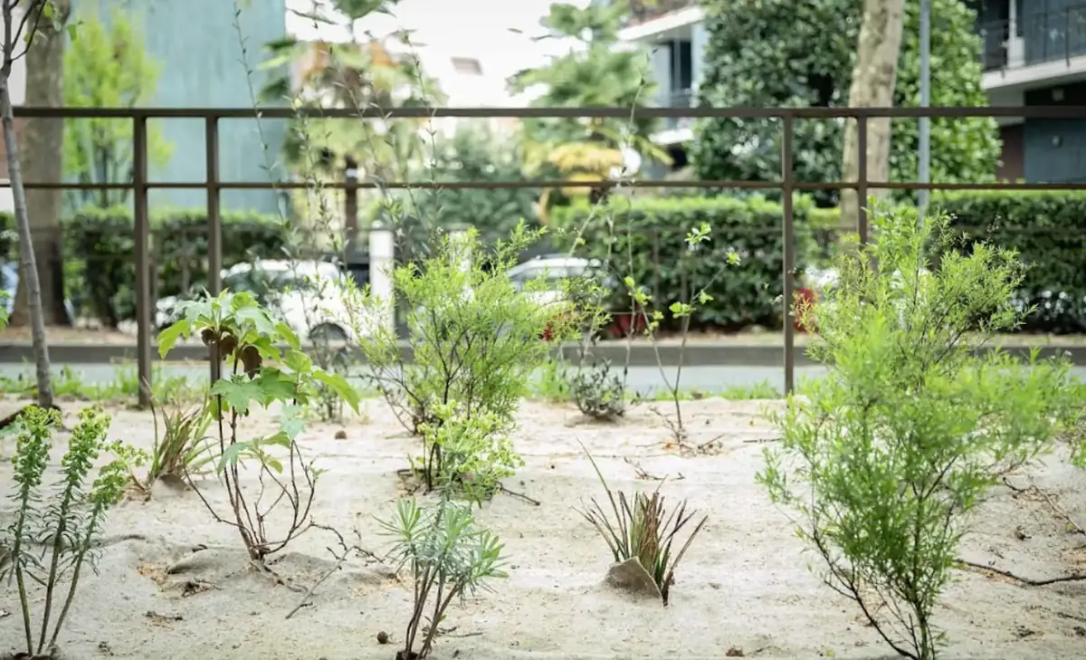 Milano Green Circle 90/91: concluso il primo tratto del progetto di rinaturalizzazione