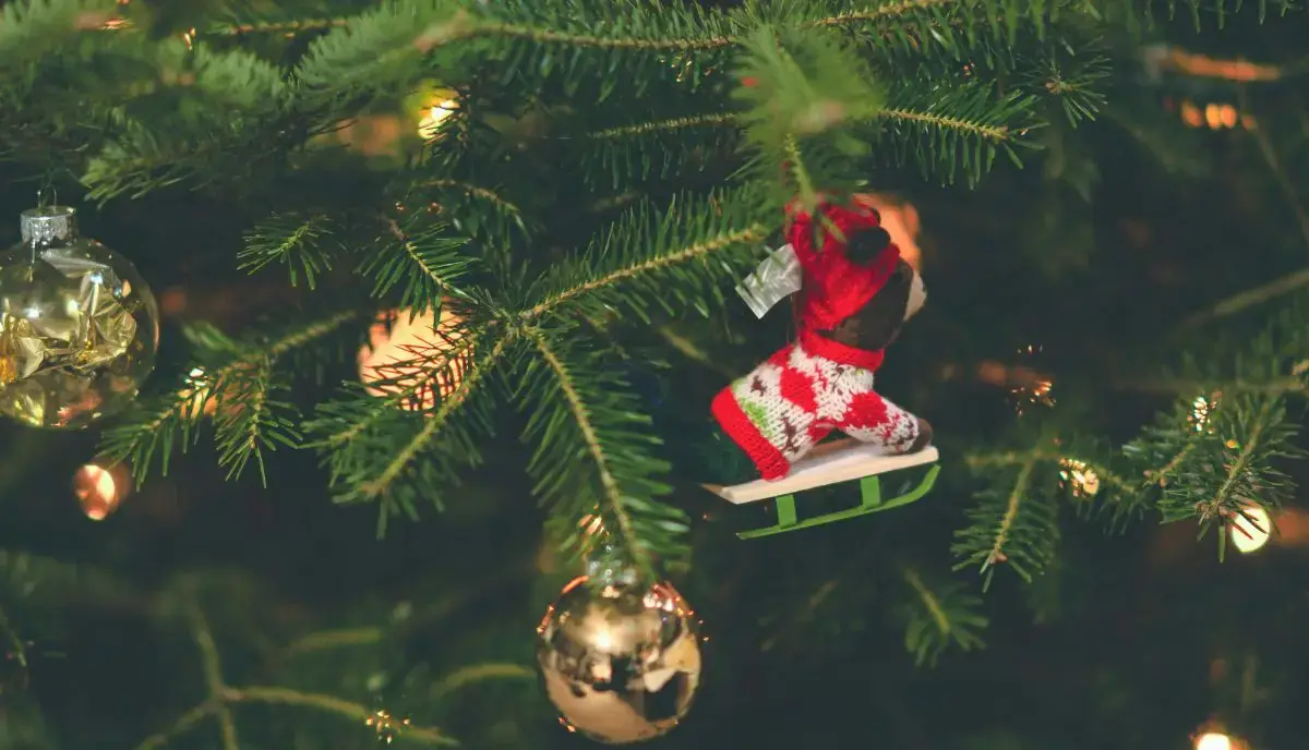 Natale