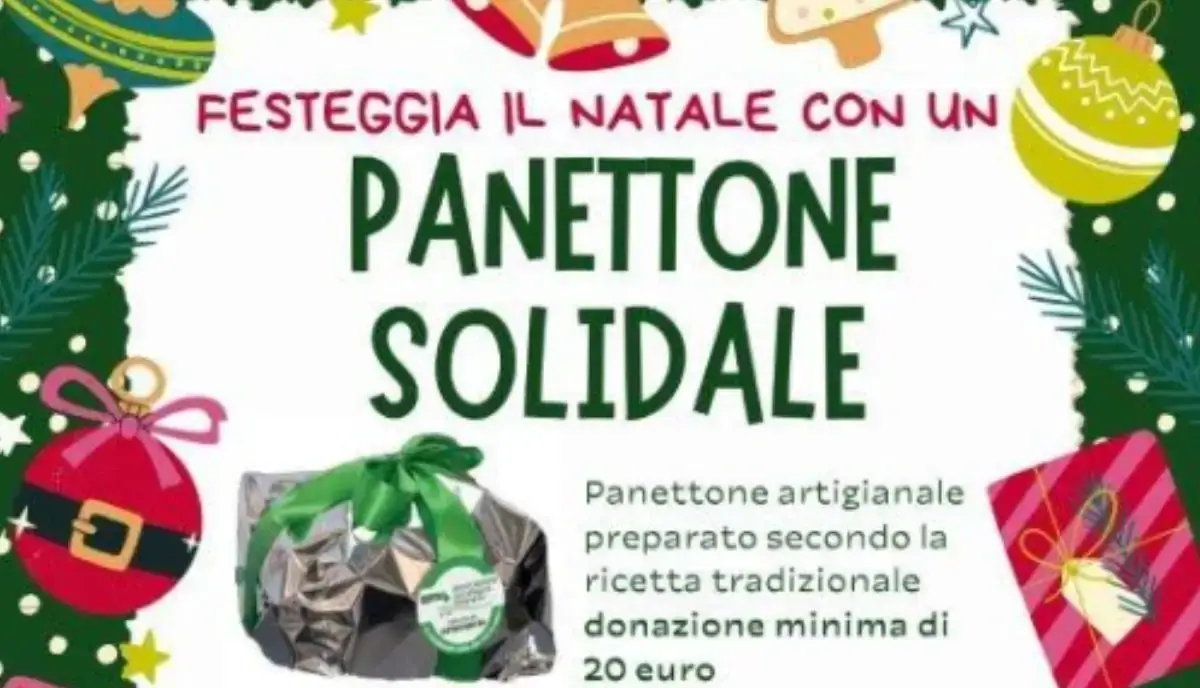 Natale solidale con AMOlaVITA