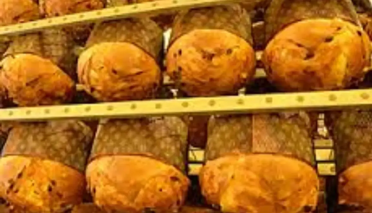 Panettone