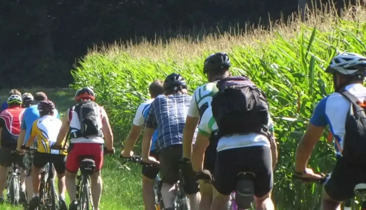 bicicletta