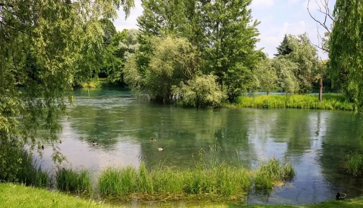 Ambiente, sostenibilità