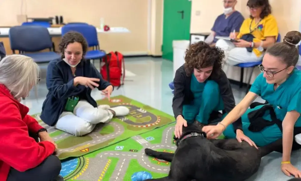 Pet Therapy in ospedale