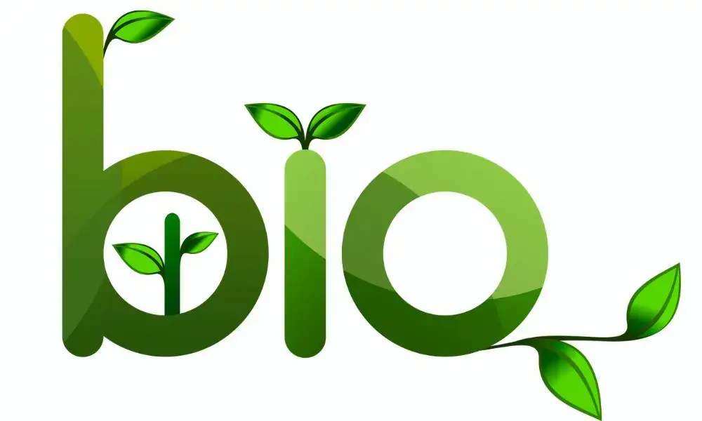 Festa del BIO