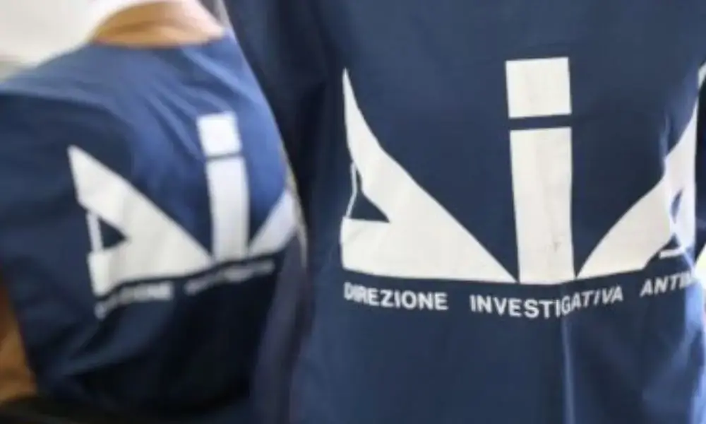 dda antimafia