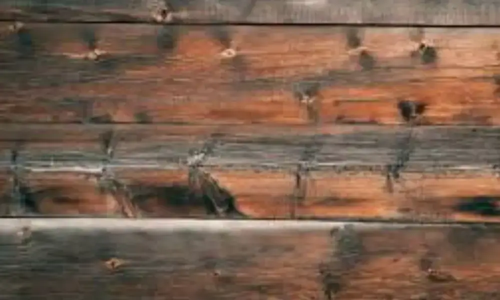 Legno