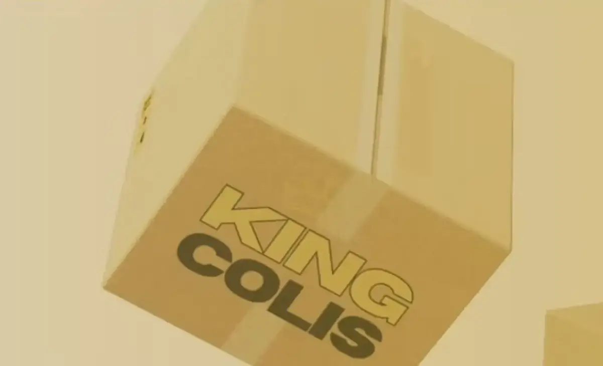 Milano, boom di code per i pacchi smarriti: assalto alla “blind sale” di King Colis al Merlata Bloom