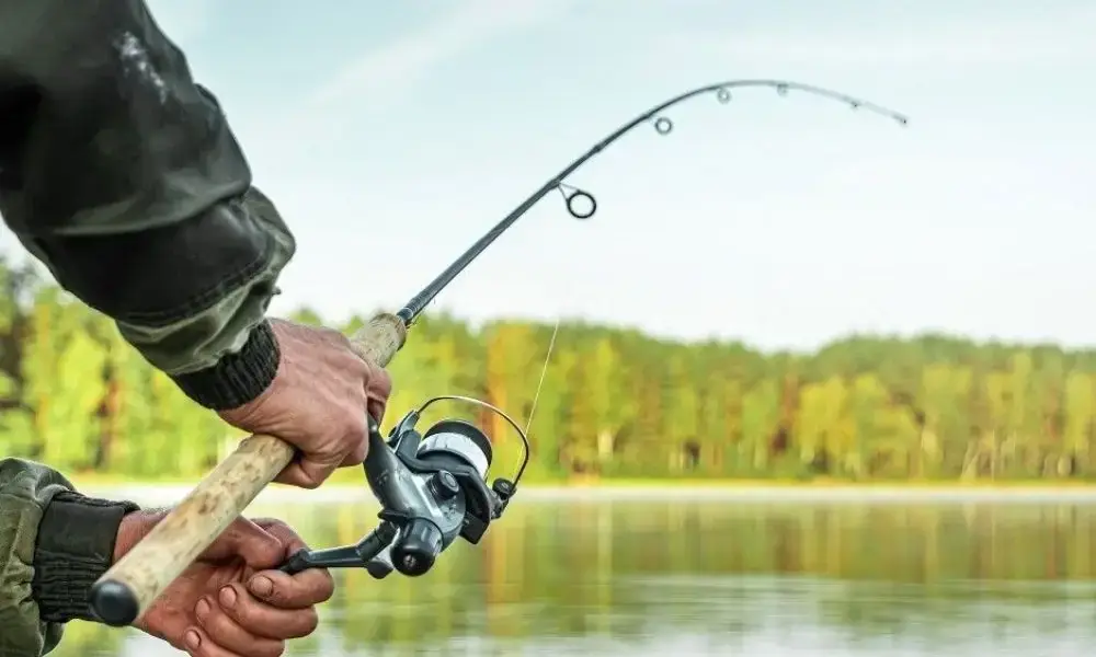 pesca