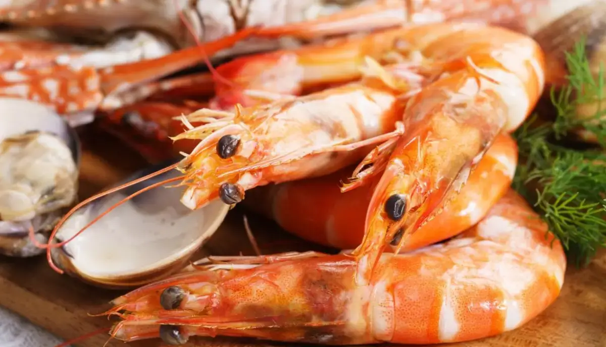 Successo per la Sagra del Pesce di Melegnano: il secondo weekend è alle porte
