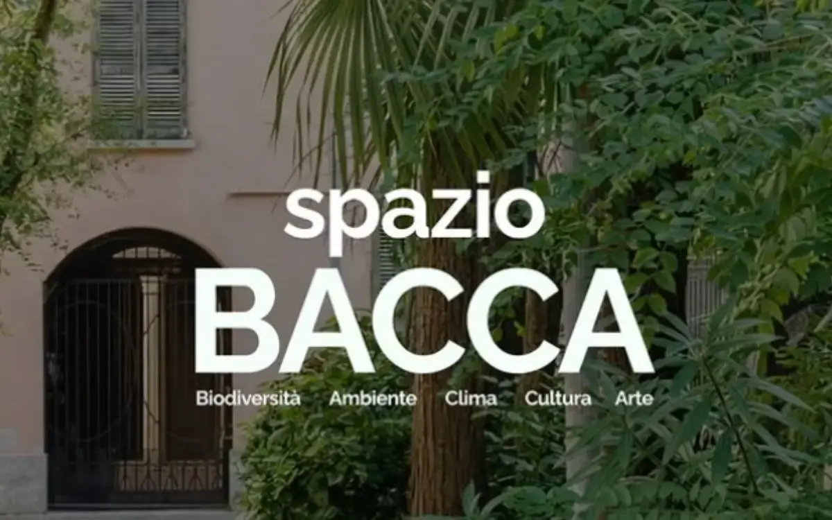 Milano, nasce spazioBACCA: a Brera il nuovo hub green per giovani, cultura e clima
