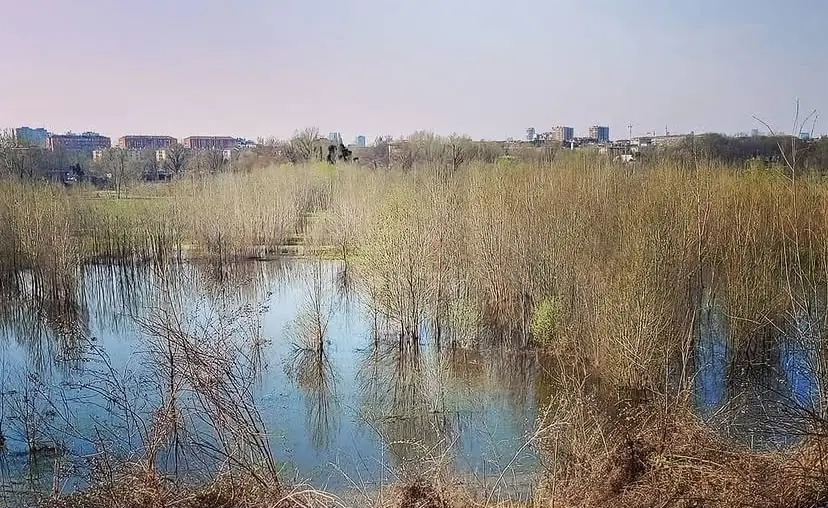 Porto di Mare, Milano