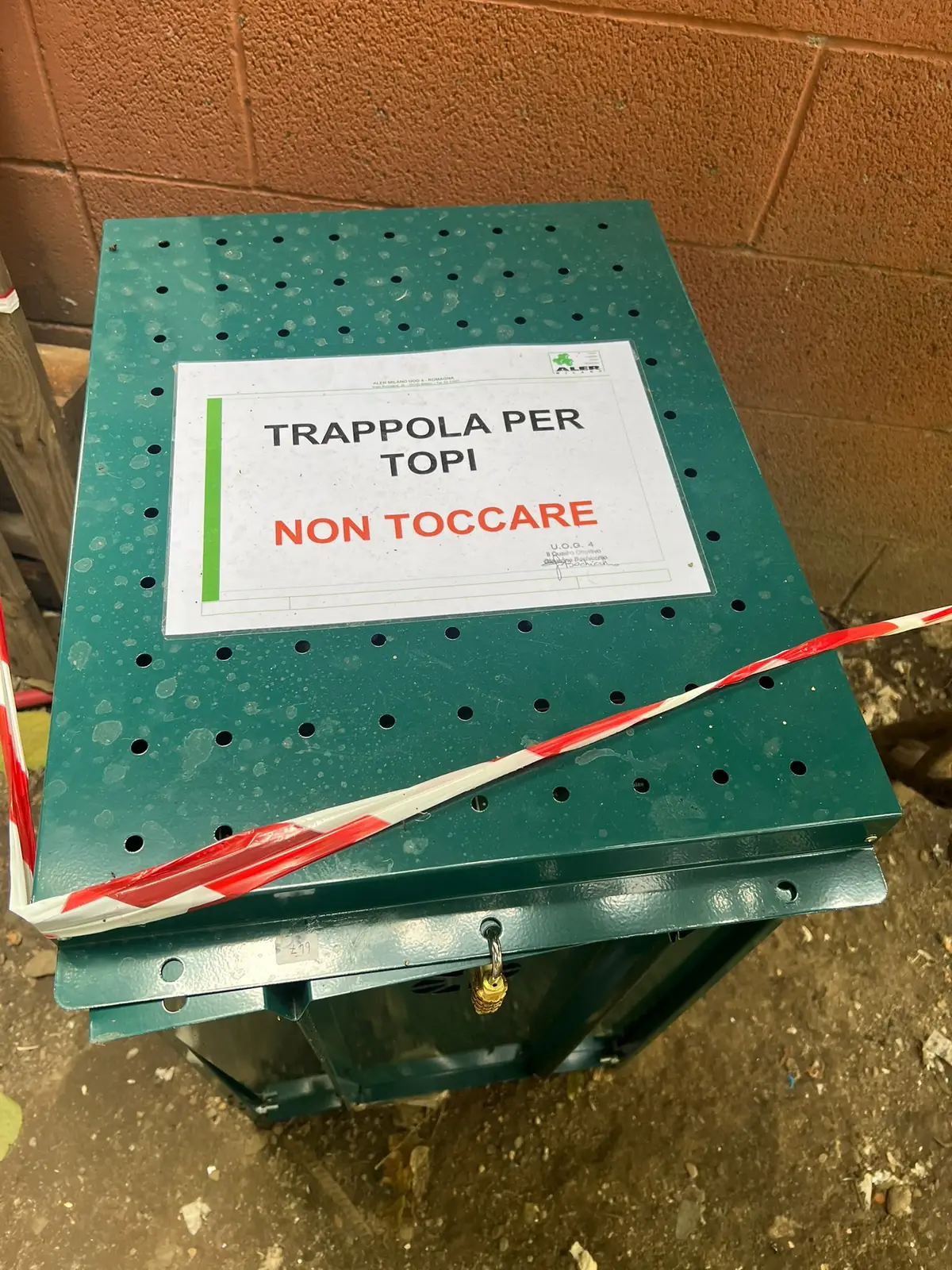 Emergenza ratti a Calvairate: da Regione Lombardia 250mila euro per interventi di sanificazione e bonifica