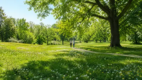 Il parco diventa un presidio sanitario: al via a Milano il primo studio italiano sulla “nature prescription”