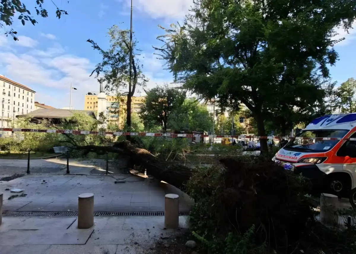 Albero crolla su tre passanti in piazza Risorgimento, Burgio: "Non è solo maltempo, manca la prevenzione"