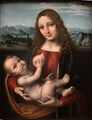 "Madonna del latte" di Marco D'Oggiono dopo il restauro