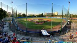 Kennedy-baseball.jpg